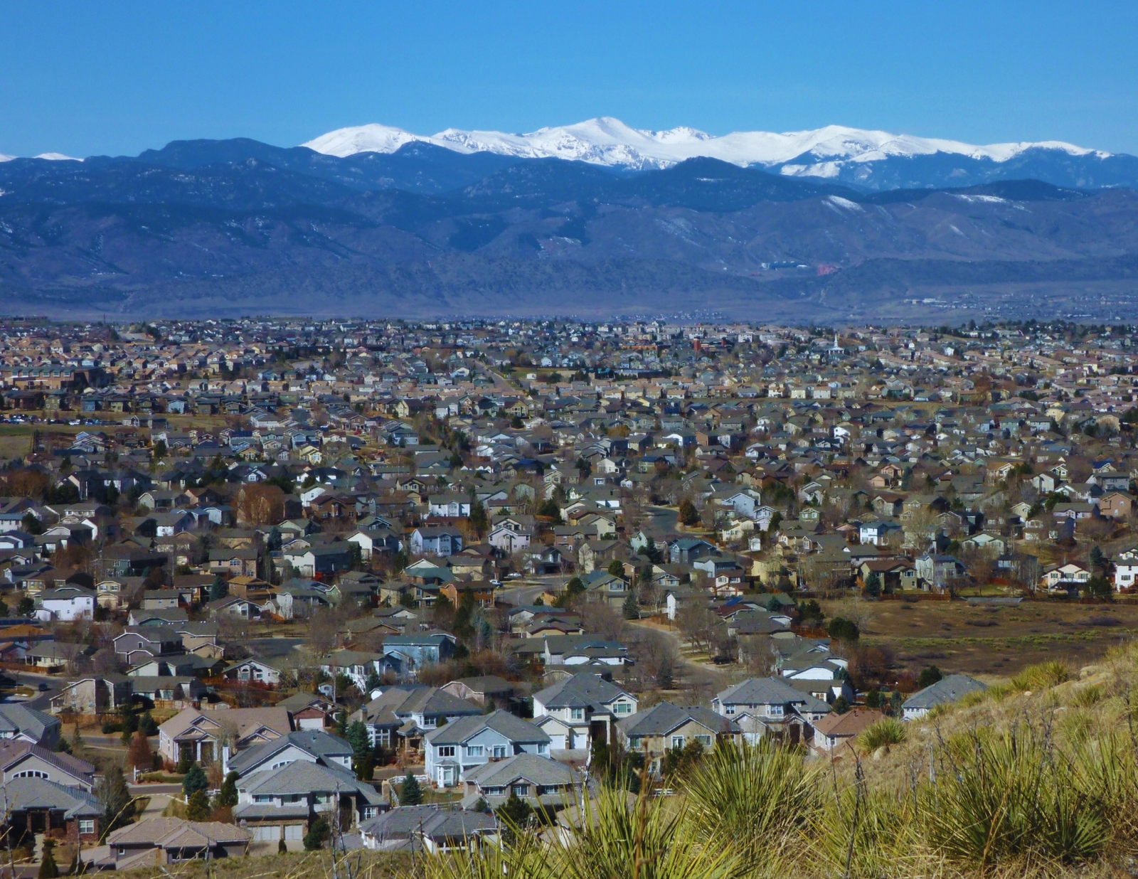 Chauffeur opening door for airport passenger in Highlands Ranch